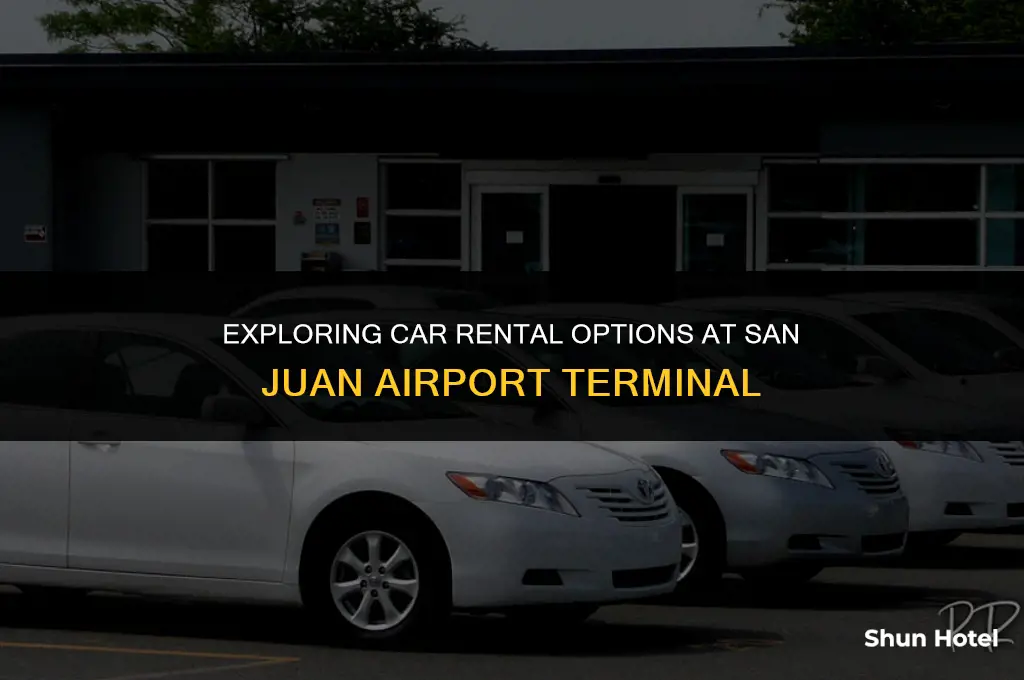 what car rentals are in san juan airport terminal