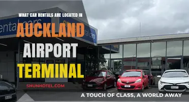 Convenient Car Rentals Available at Auckland Airport Terminal