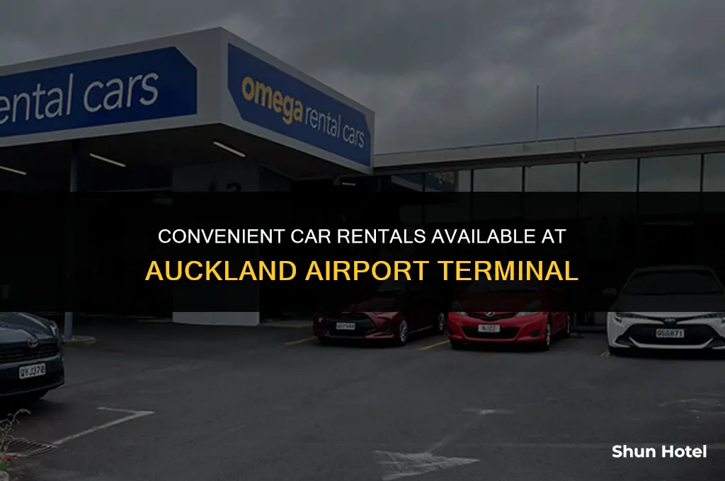 what car rentals are located in auckland airport terminal