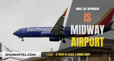 How Cats Land Safely at Midway Airport