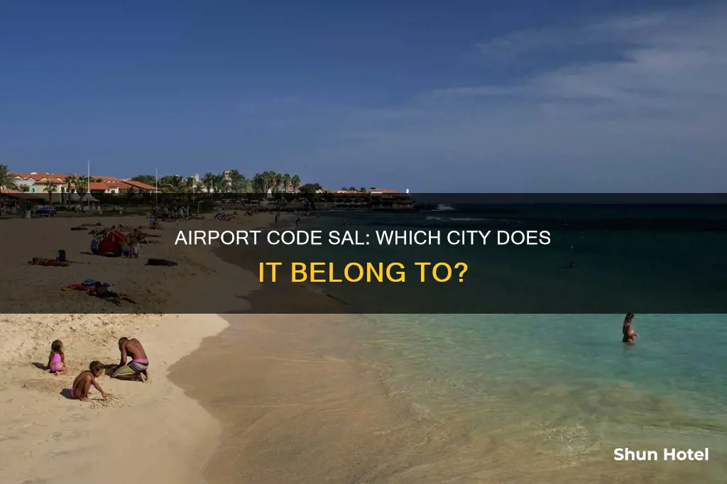 what city is airport code sal
