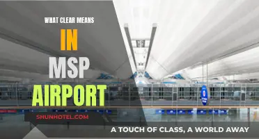 MSP Airport's Clear Security Lanes Explained