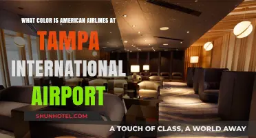 American Airlines' Signature Color at Tampa International Airport Revealed