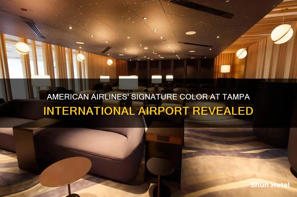 what color is american airlines at tampa international airport