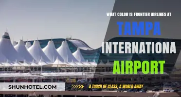 Frontier Airlines' Signature Color at Tampa International Airport Revealed