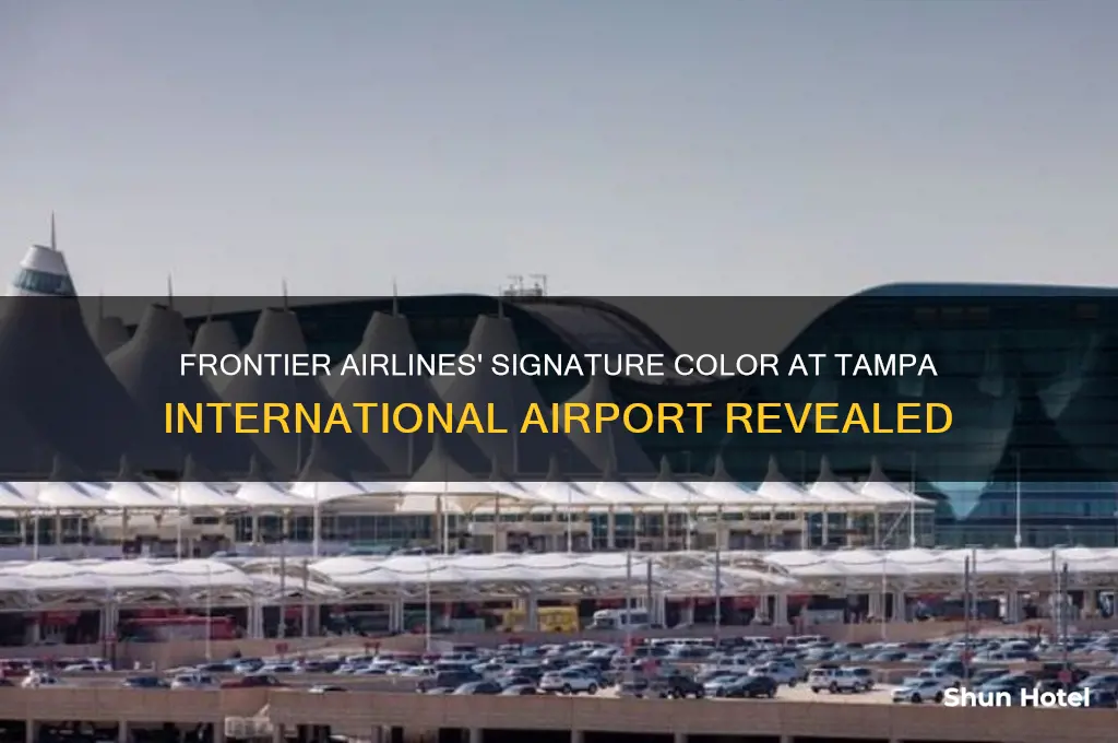 what color is frontier airlines at tampa international airport
