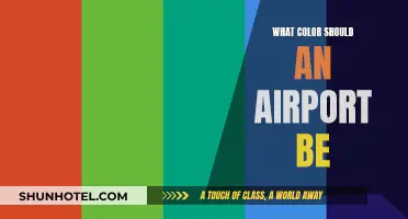The Psychology of Airport Color Schemes