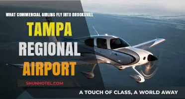 Commercial Airlines Serving Brooksville-Tampa Regional Airport: A Comprehensive Guide