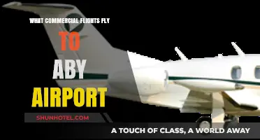 Discover Airlines Offering Commercial Flights to ABY Airport
