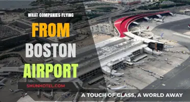 Boston Airport Airlines: A Comprehensive Guide to Carriers and Destinations