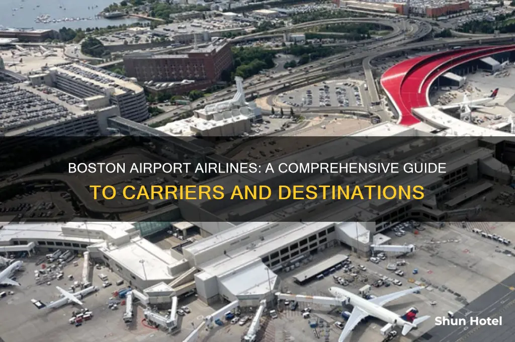what companies flying from boston airport