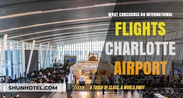 Charlotte Airport's International Concourse: A Comprehensive Guide for Travelers