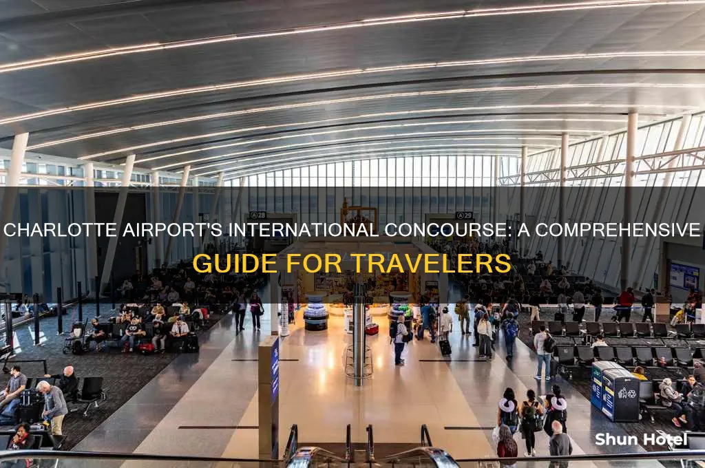 what concourse do international flights charlotte airport
