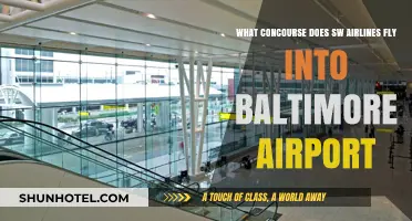 Which Concourse Does Southwest Airlines Use at Baltimore Airport?