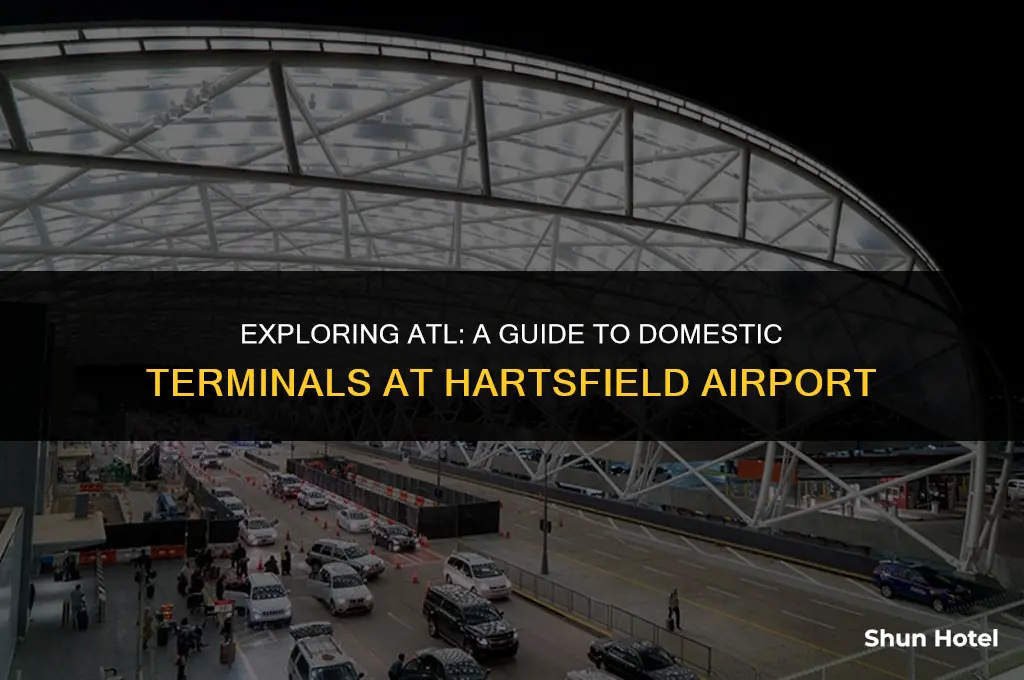 what concourse is domestic terminals at atl hartsfield airport
