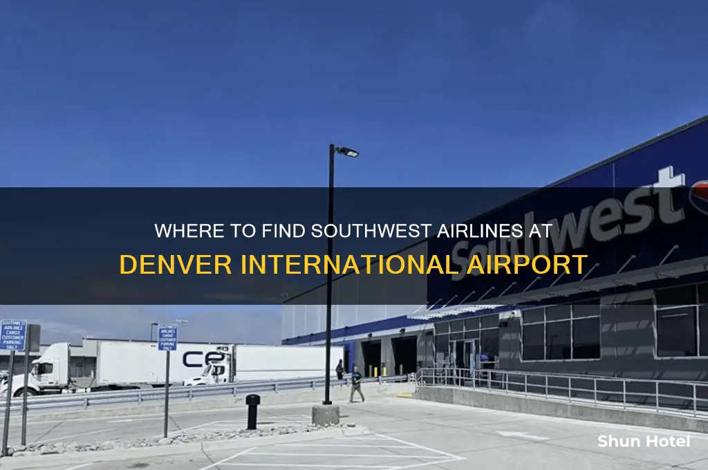 what concourse is southwest at denver international airport