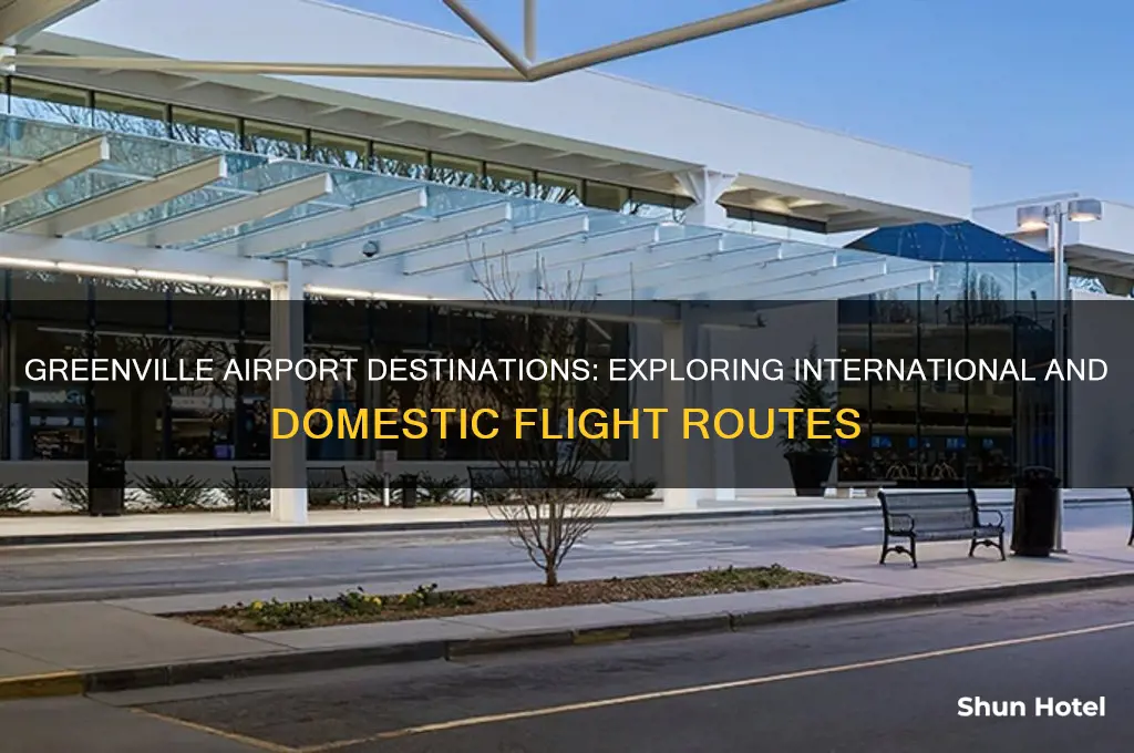 what countries does greenville airport fly to