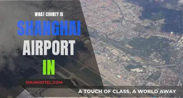 Shanghai Airport's County Location: A Traveler's Guide