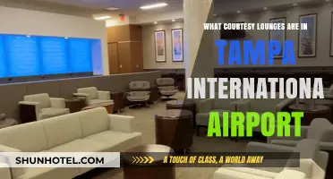 Discover Tampa International Airport's Courtesy Lounges for Travelers