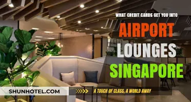 Unlock Singapore Airport Lounges: Top Credit Cards for Access