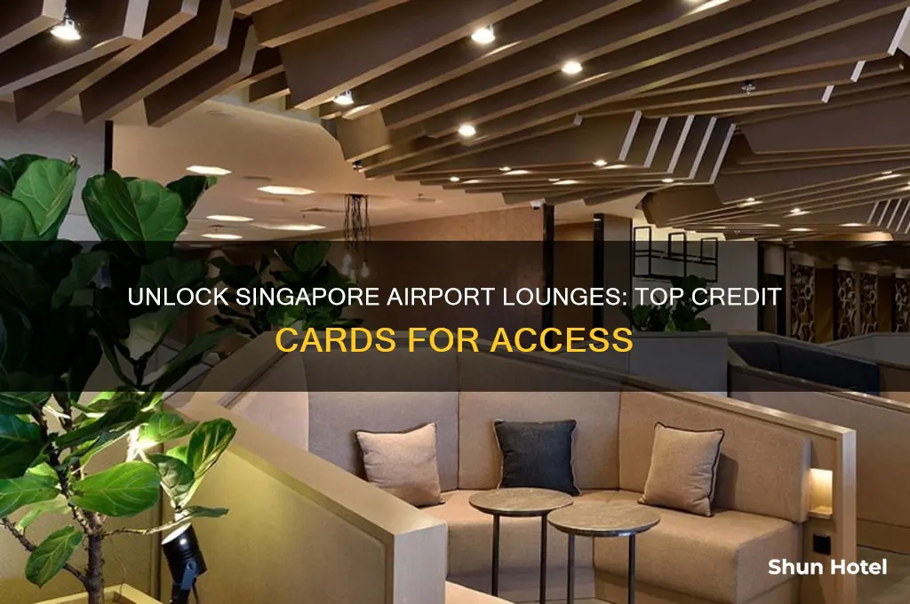 what credit cards get you into airport lounges singapore