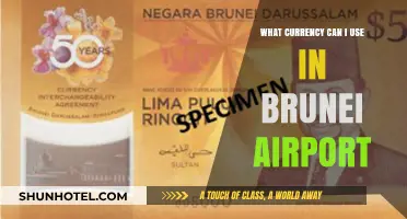 Using Currency at Brunei Airport