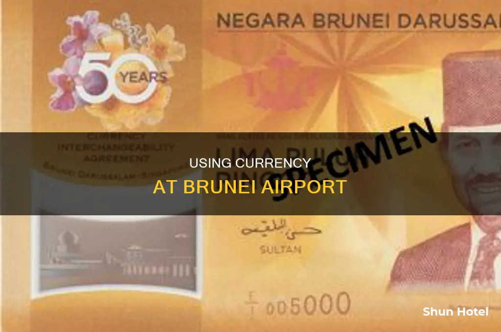 what currency can i use in brunei airport