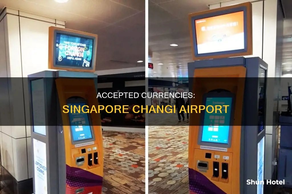 what currency can you use at singapore airport