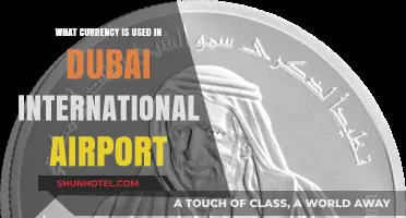 Dubai Airport Currency Guide: What Money to Use at DXB