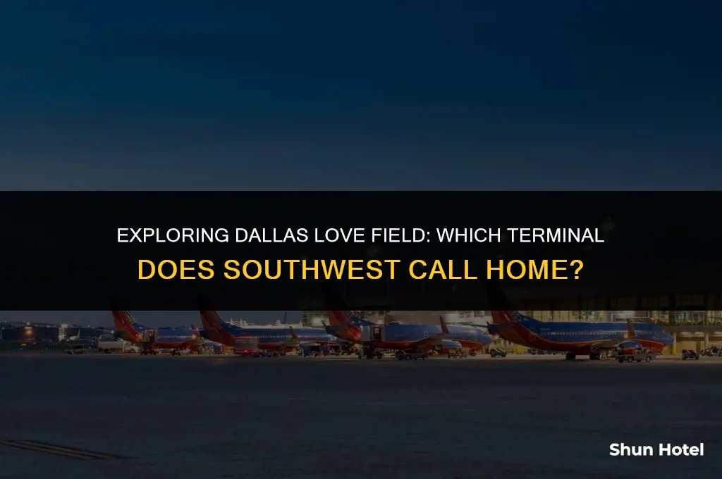what dallas love field airport terminal is for southwest airline