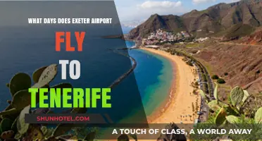 Exeter Airport to Tenerife: Flight Days and Schedule Guide