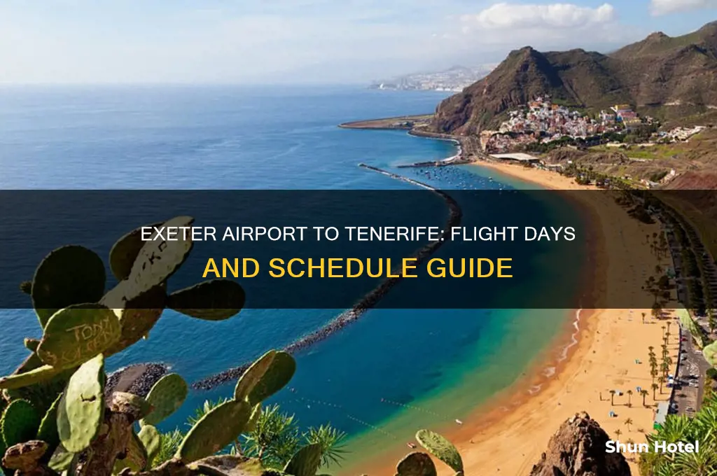 what days does exeter airport fly to tenerife