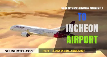 Hawaiian Airlines Incheon Airport Flight Schedule: Days and Frequency