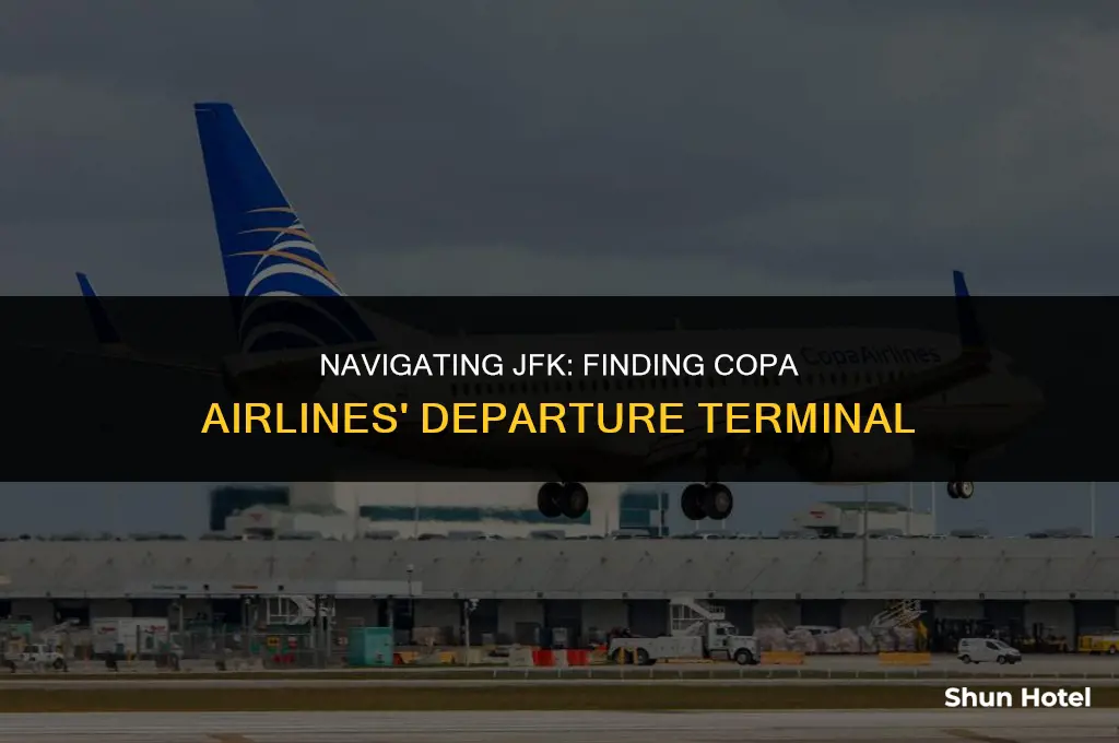 what departure terminal is copa at jfk airport