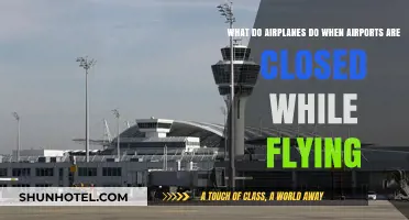 Airborne Alternatives: What Happens When Airports Close Mid-Flight?