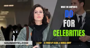 Airports' Red-Carpet Treatment: Celebrities' Luxurious Travel Experience