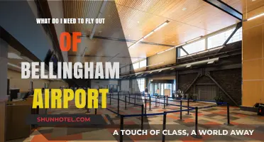 Essential Travel Tips: Flying from Bellingham Airport – What You Need