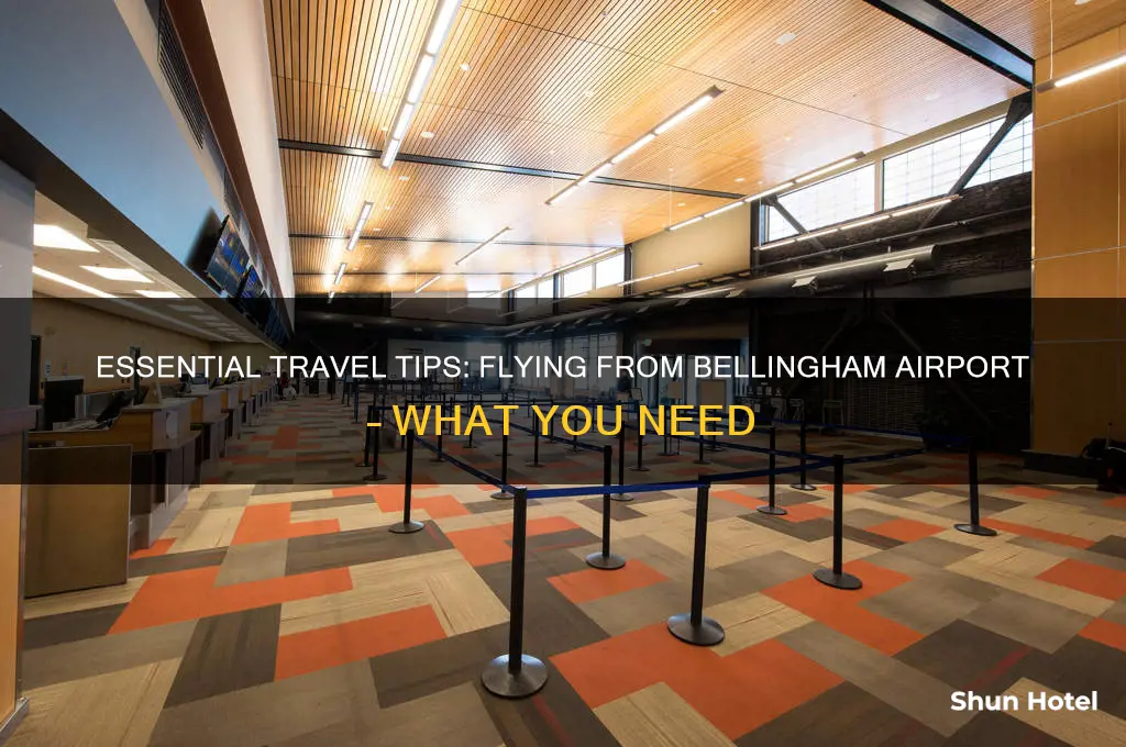 what do i need to fly out of bellingham airport