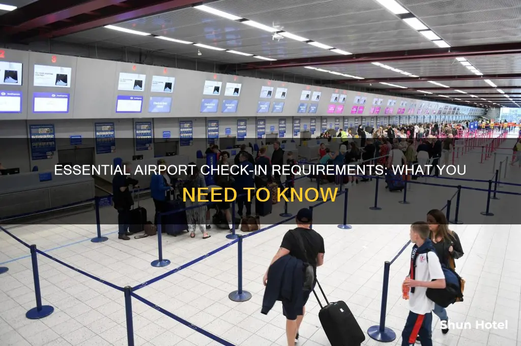 what do i need to get checked into an airport