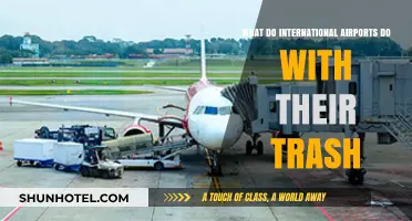Global Gateways: How International Airports Manage Their Waste Efficiently