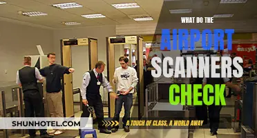 Airport Scanners: What They Scan and How They Work