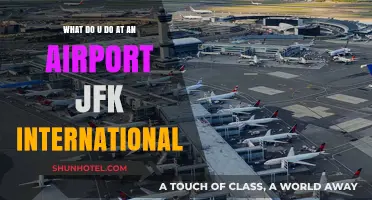 Exploring JFK International: Activities, Amenities, and Travel Tips for Visitors