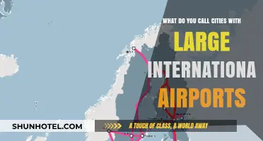 Global Gateway Cities: Naming Urban Hubs with Major International Airports