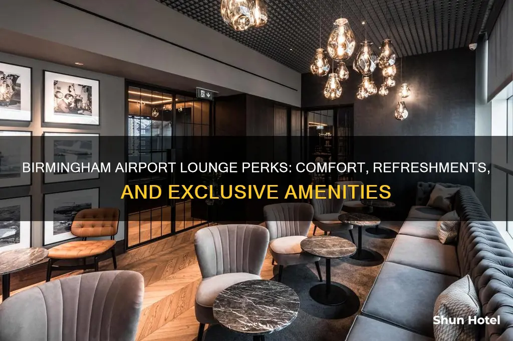 what do you get in birmingham airport lounge