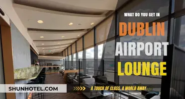 Dublin Airport Lounge Perks: Comfort, Refreshments, and Exclusive Amenities