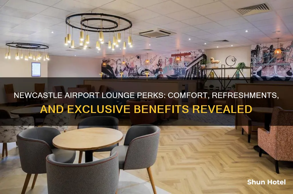 what do you get in newcastle airport lounge