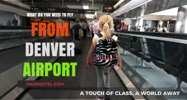 Essential Travel Tips: What You Need to Fly from Denver Airport
