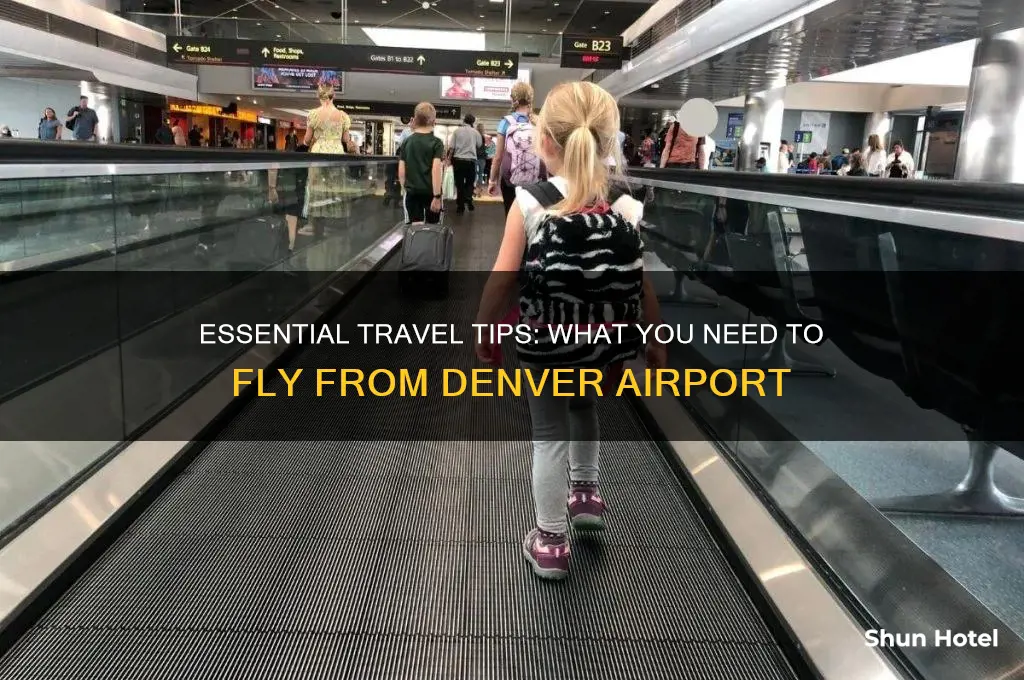 what do you need to fly from denver airport