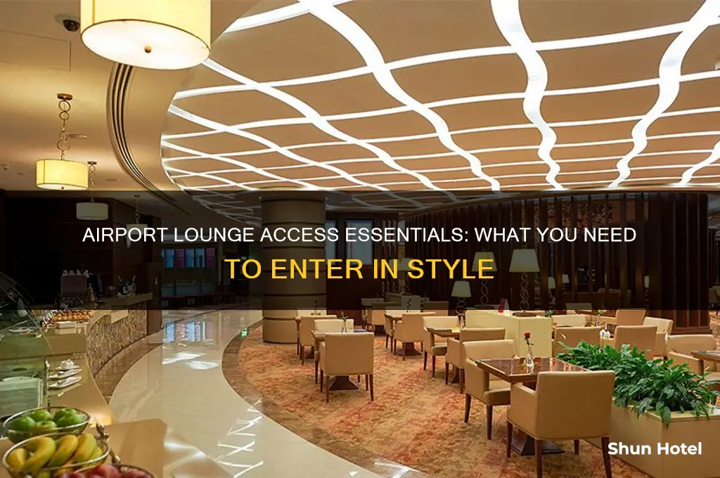 what do you need to get in lounges in airport