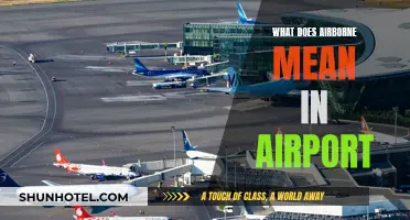Airborne Explained: Airport Lingo for Beginners